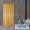 Cửa Gỗ MDF Veneer P1R2 ash 2